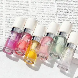 6-pack Silver-Edged Glossy Plump Lip Gloss, High Shine Gloss, Moisturizing and Hydrating, Layerable Lip Oil, Glass Lip Shine, Lip Care