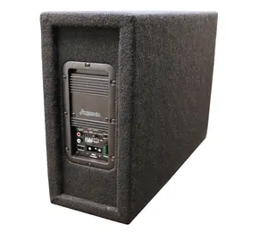 10SMV-300.1-10 in Single Shallow Mount Vented w/300.1SBA Amp