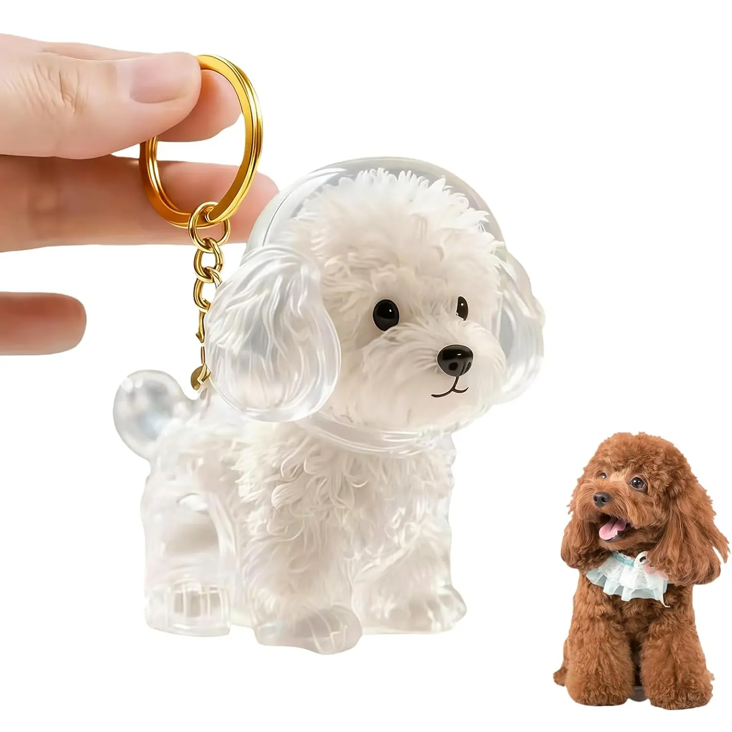 Dog Hair Collector Keychain Charm Memorial Storage Box, Transparent Bottle for Pet Hairs Keychain, Pets Fur Keepsake Keyring for Collecting Hair, Portable Pet Memory Capsule