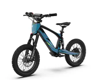 Voltaic Youth Electric Dirt Bike 16'' Flying Fox