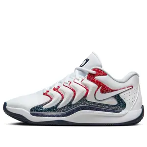 Nike KD 17 'USA' FJ9487-101