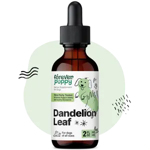 Dandelion Leaf Drops for Dogs - Kidney Health Liquid Supplement for Large, Medium & Small Dogs - Kidney Cleanse Detox Drops w/Dandelion Leaves Tincture - 2 oz