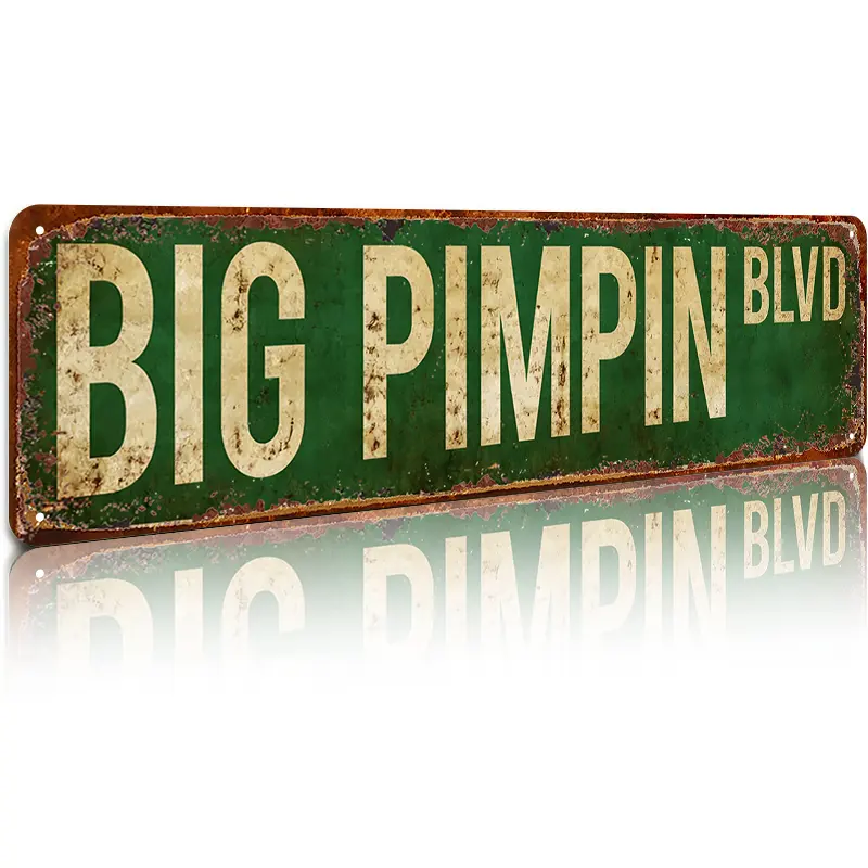 Big Pimpin Blvd Street Sign, Aluminum Slim Aluminum Sign Street Funny Metal Sign Wall Decor for Bedroom Home Bar Garage Art Gift 4" by 16" Signage Yard Sign Lightweight