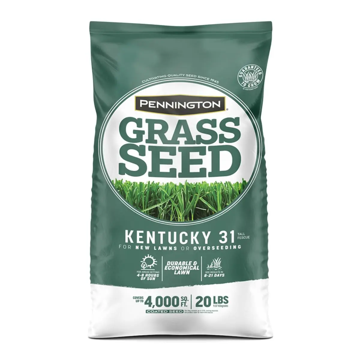 Pennington 212 MAIN Economical Kentucky 31 Tall Fescue Grass Seed, 20 lbs Bag, Medium Shade-Tolerant, Heat-Tolerant, Disease-Resistant, Easy-to-Establish for Durable & Economical Lawns, Outdoor Garden Supply (7016747)