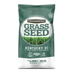 212 MAIN Economical Kentucky 31 Tall Fescue Grass Seed, 20 lbs Bag, Medium Shade Tolerant, Heat Tolerant, Outdoor Garden Supply, Pennington Seed 7016747