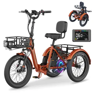 MOONCOOL Electric Tricycle for Adults, 750W 48V Folding Electric Trike Peak Power 1100W, 3 Wheels Electric Bicycle, Aluminum Frame Electric Tricycle with Large Basket and Removable Battery