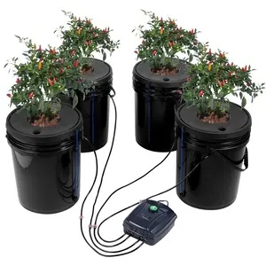 DWC Hydroponic System for Indoor and Outdoor Growing, 5-Gallon Four-Bucket Deep Water Culture Kit with Pump, Air Stone, Water Level Device, and Nutrient Accessory Pack for Leafy Vegetables