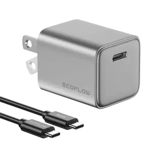 EF ECOFLOW USB C Charger, Rapid 65W GaN Type C Charging Block with Foldable Plug, Fast Wall Charger Compatible with iPhone 15/14/13, Galaxy, Pixel 4, iPad, AirPods, Apple Watch (USBC Cable Included)