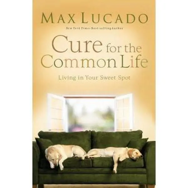 USED Book - CURE FOR THE COMMON LIFE by Max Lucado (Paperback) - english