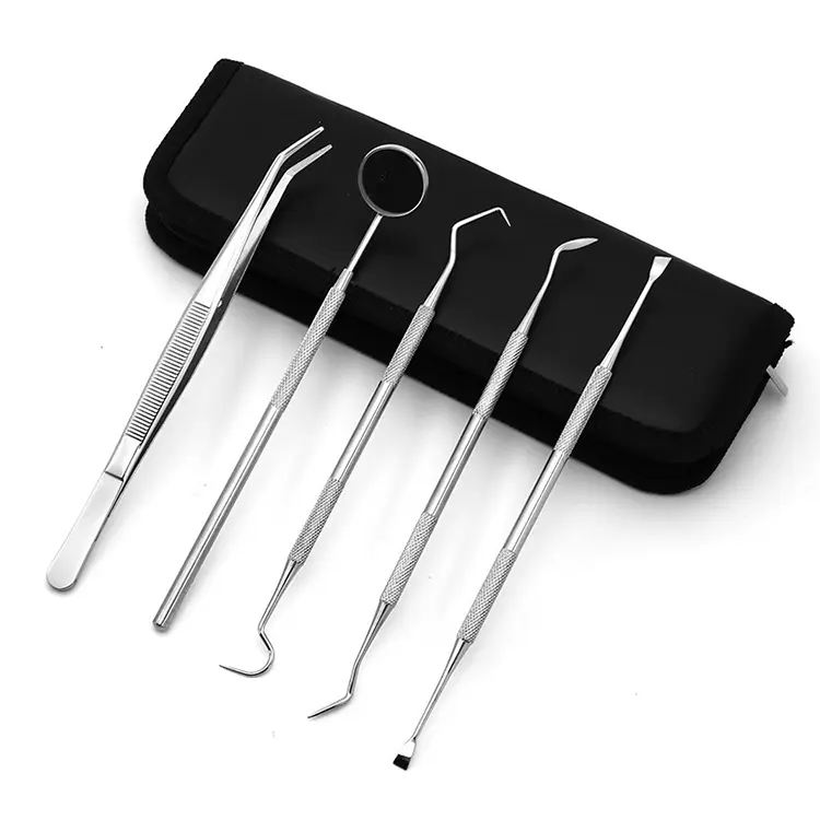 Professional High Quality Dental Pick Tools 5 Piece Oral Care Set 5 Piece Set Instruments Dental Hygiene Kit