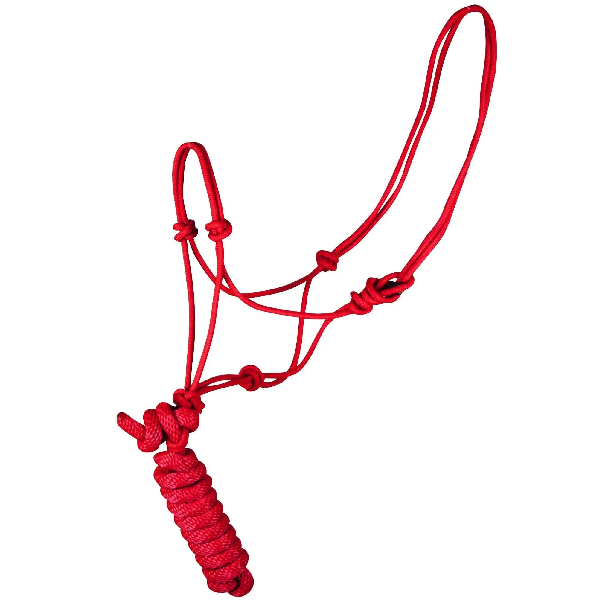 Jeffers Poly Braided Rope Horse Halter with Lead