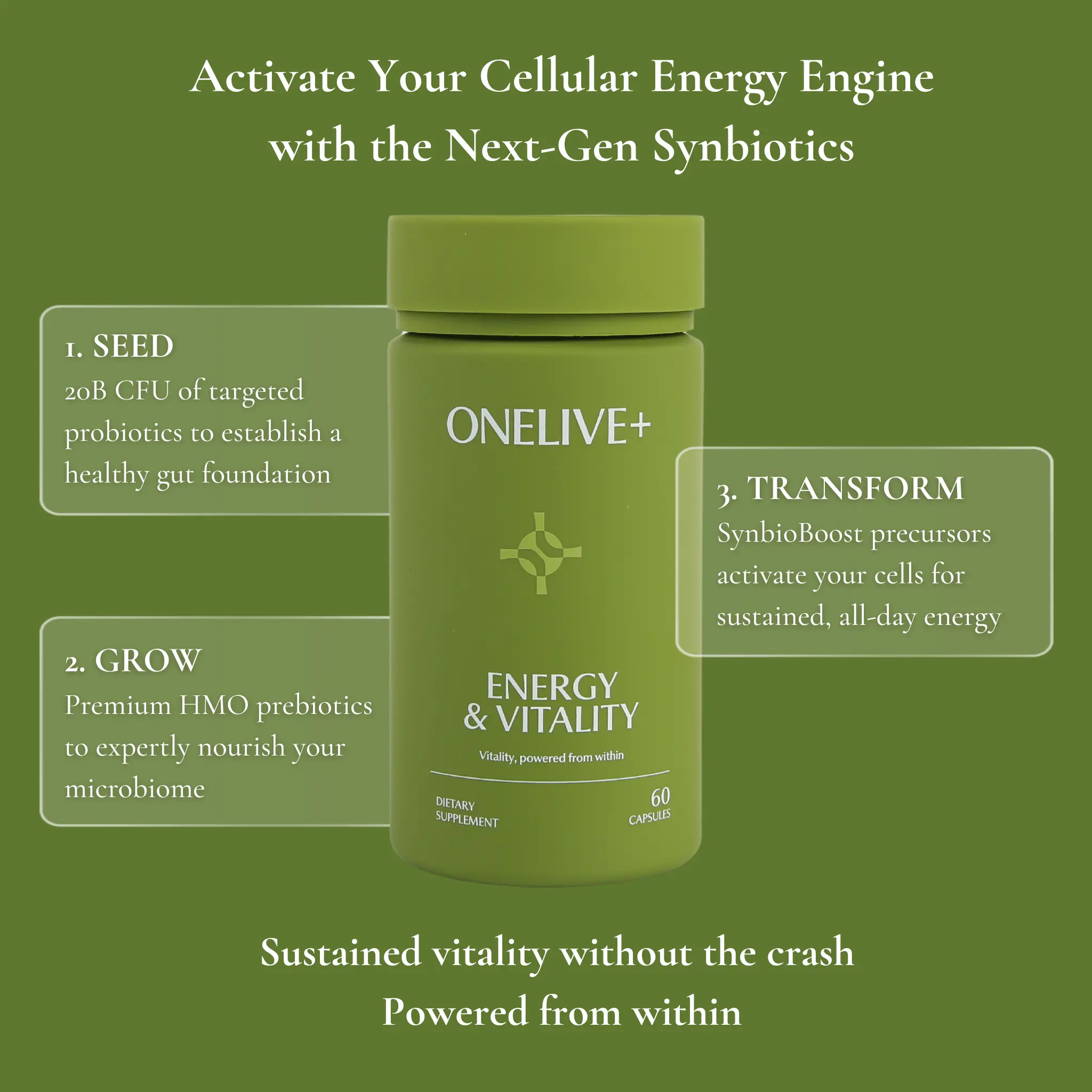 ONELIVE+ Energy & Vitality Probiotic and Prebiotic Dietary Supplement