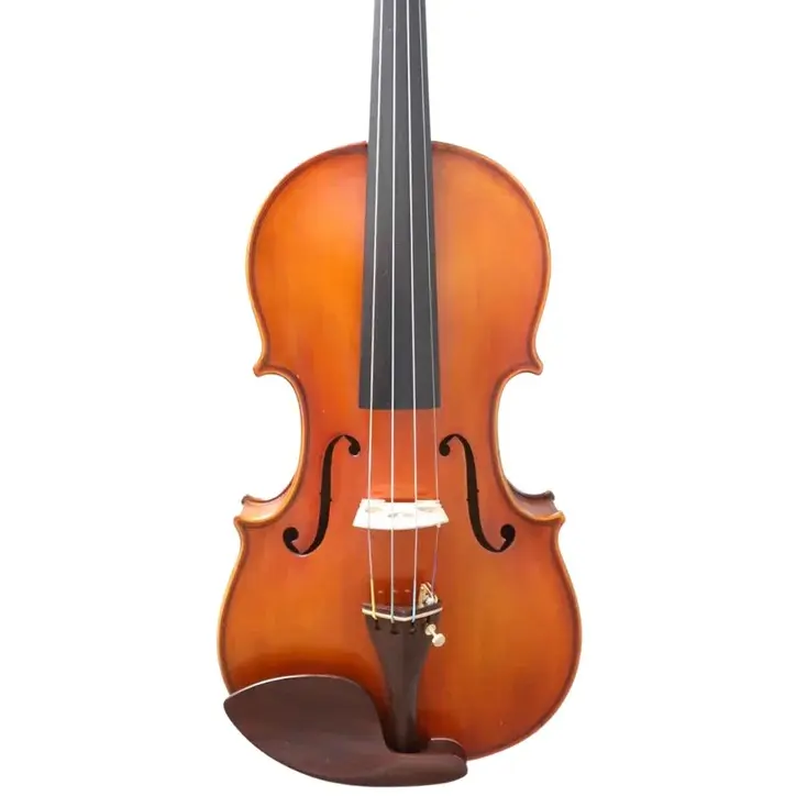 D Z Strad Violin- Custom Antique Guarneri 'Del Gesu' 1743 Cannone Violin Copy Outfit