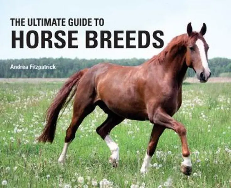 USED-The Ultimate Guide to Horse Breeds by Fitzpatrick, Andrea (Hardcover)