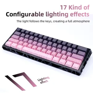 Wired Mechanical Keyboard with Unique Hollow Body, 60% Layout, Hot-Swappable Switches, QMK/VIA Programmable RGB Backlight, Support Windows Mac OS   budget friendly keyboard