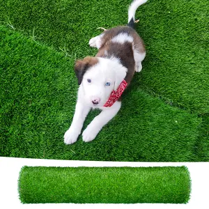 2-Pack Durable 3.3 ft x 10 ft Realistic Thick Artificial Grass, Synthetic Astroturf Rug/Carpet with Drainage Holes - Indoor/Outdoor Landscape Mat for Dogs