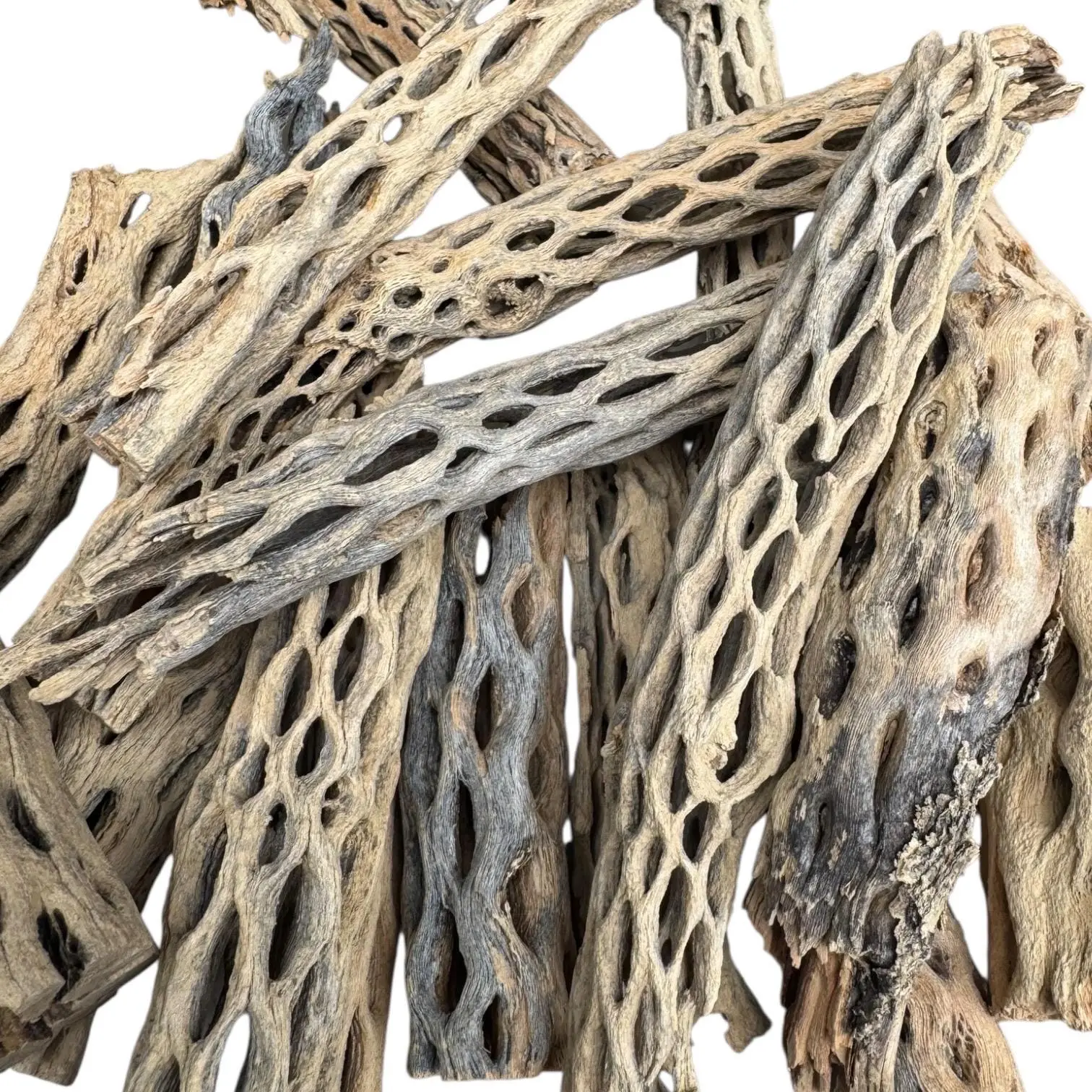Cholla Wood for Terrariums & Aquariums | Natural Bioactive Decor for Isopods, Springtails, Shrimp, Leapord Gecko, Hermit Crabs and Reptiles
