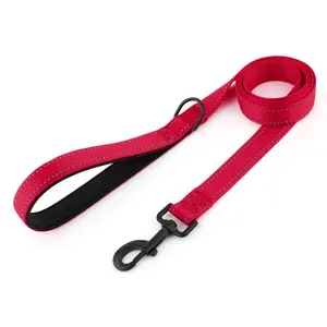 Reflective Dog Leash Heavy Duty Nylon Pet Lead with Comfortable SBR Padded Handle, High Visibility Night Safety Leash for Medium and Large Dogs