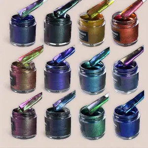 12 Color Acrylic Chameleon Art Paints, 10g DIY Chameleon Varnish, Suitable for Various Materials, Glass, Phone Cases, Ceramic, Leather, Fabric, Acrylic Art Kit