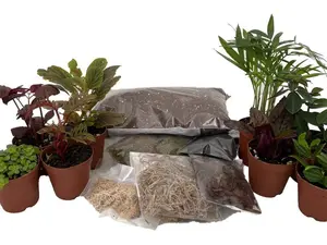 Hirt's Terrarium Kit with 8 Terrarium Plants in 2" Pots