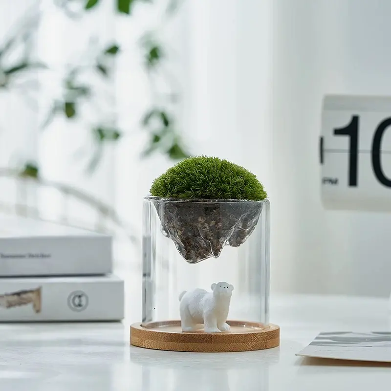 DIY Terrarium Kit - Upside-down Mountain-shaped Glass with Polar Bear Toy, Wooden Base, Soil, Moss, and Tools