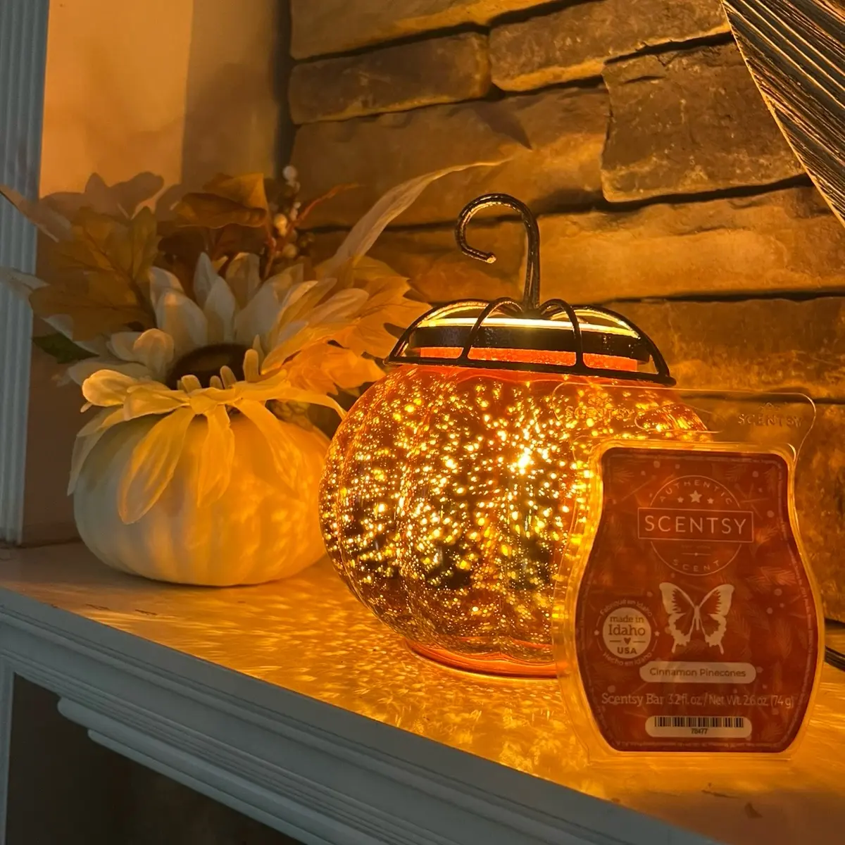 Wax Warmer, Air Purifier, Scentsy Go, Wax Bars, Scent Pods, Scentsy Buddies - Home Decor & Religious Gifts
