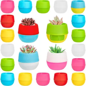 30 Pack Mini Succulent Pot, 3 Inch Plastic Seed Starter Pots Small Cute Succulent Planter with Drainage for Indoor & Outdoor ,  Decor, Free Assembly