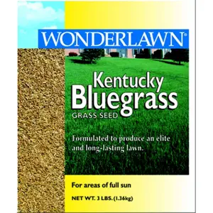 Barenbrug  1 lbs Kentucky Bluegrass Seed