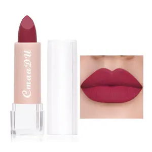 15 Colors Velvet Matte Liquid Lipstick, Single Pack Lip Gloss