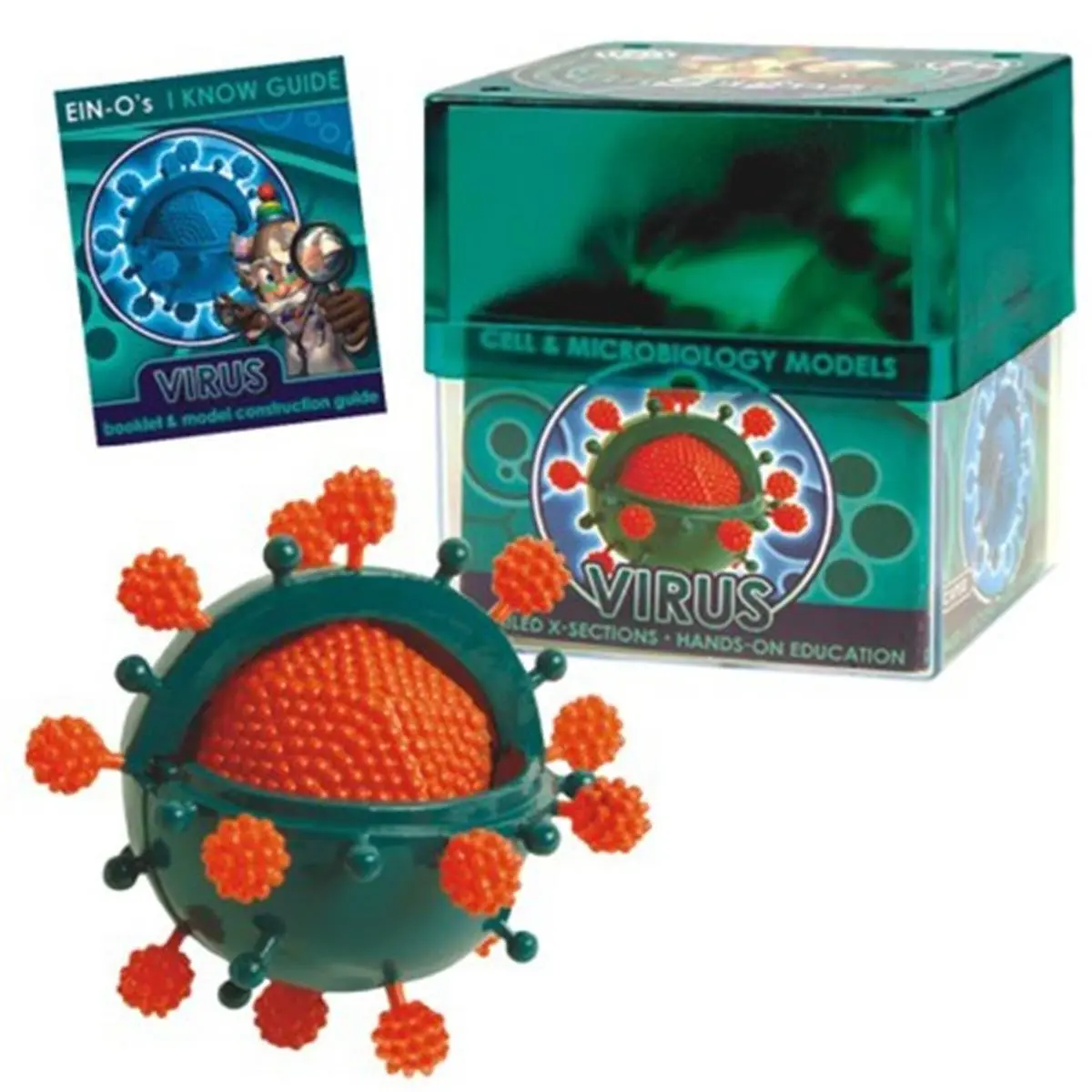 Tedco Toys 32371-VIR Ein-O Bio Signs Virus Model