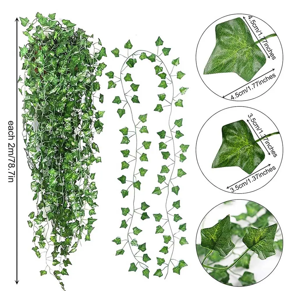 Ivy Vines