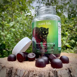 Icaro MycoGummy Mushroom Extract Complex Gummies