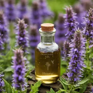 Hyssop+Respiratory Heath+Anti-parasitic+Digestive Health Organic Remedy