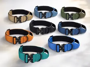 TSG - K9 Heavy Duty Dog Collar With Handle Training Walking - Nylon
