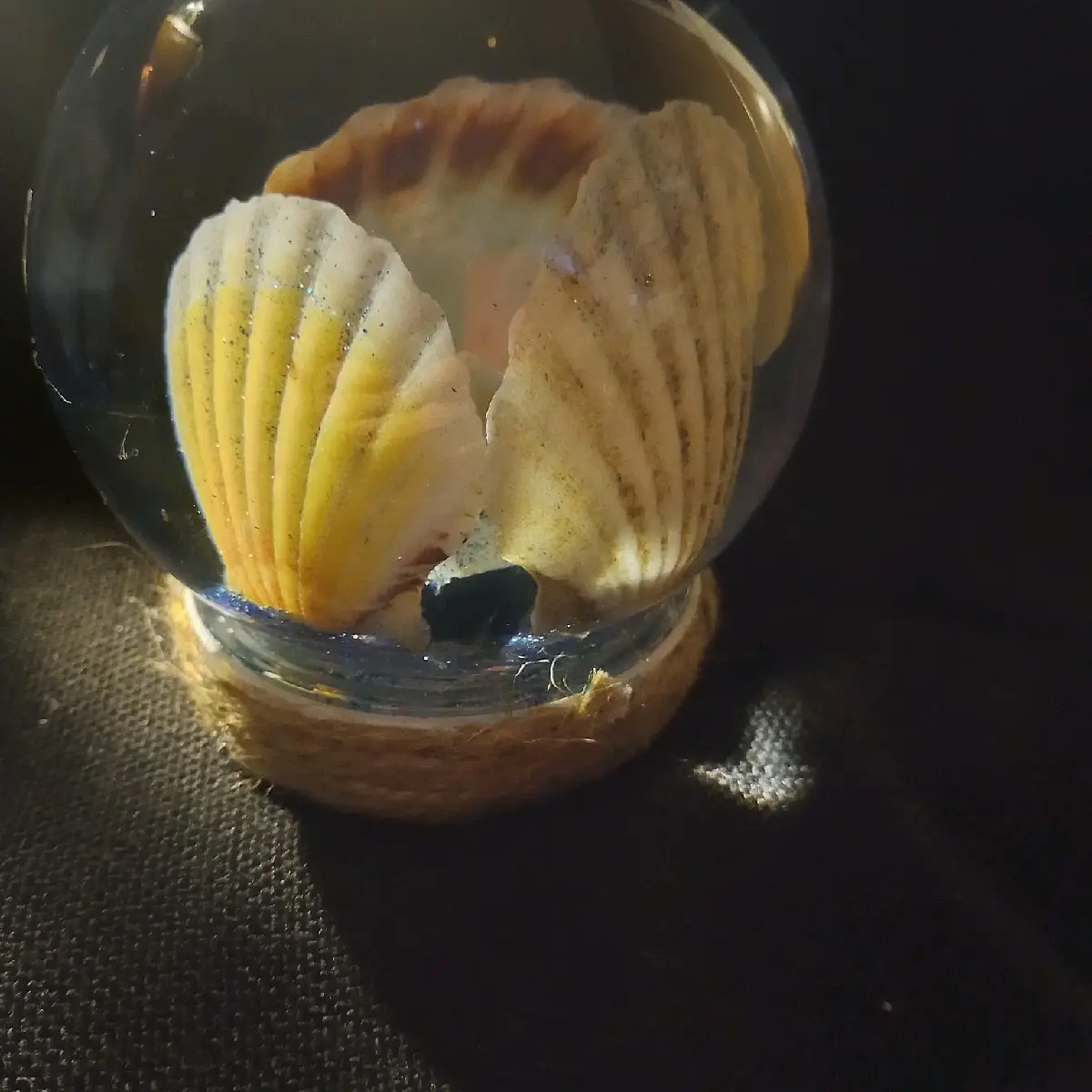 shell snow globe