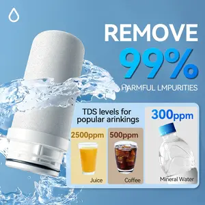 Ceramic filter core ×2; ceramic filter core can be washed repeatedly; 0.1 µm high‑precision water faucet purifier filter core; universal replacement core