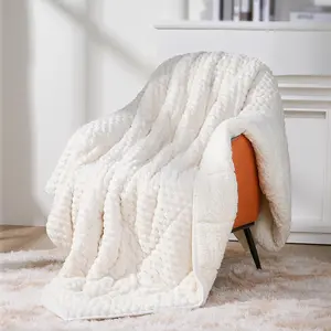 Weighted Blanket for Adults, 60" x 80" 15lbs, Soft Sherpa Queen Size Heavy Blankets with 3D Puffy Hexagon, Cozy Flannel Fleece Weighted Throw for Couch and Bed