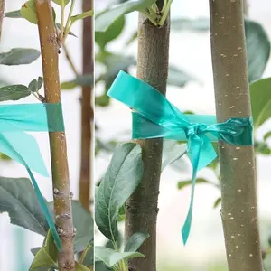 1pc Easytle Stretch Tie Tape Roll, Thick Sturdy Plant Ribbon, Garden Green Vinyl Stake Gardening Tools For Indoor Outdoor Patio Plant