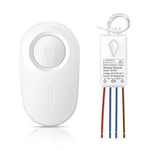 Light  and Receiver Kit - Mini Remote Control  for Ceiling Lights, Lamps, Lighting Fixture, No in-Wall Wiring No WiFi Needed, Pull Chain Replacement
