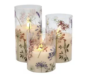 LumaBase Battery-Operated Glass Hurricanes w/Wildflower- Set 3