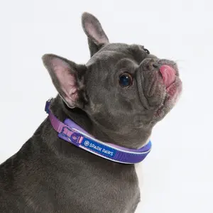 Spark Paws Martingale Dog Collar – Cushioned Slip-On Training Collar, Heavy Duty, Safety-Tested No-Buckle Collar for Medium & Large Dogs