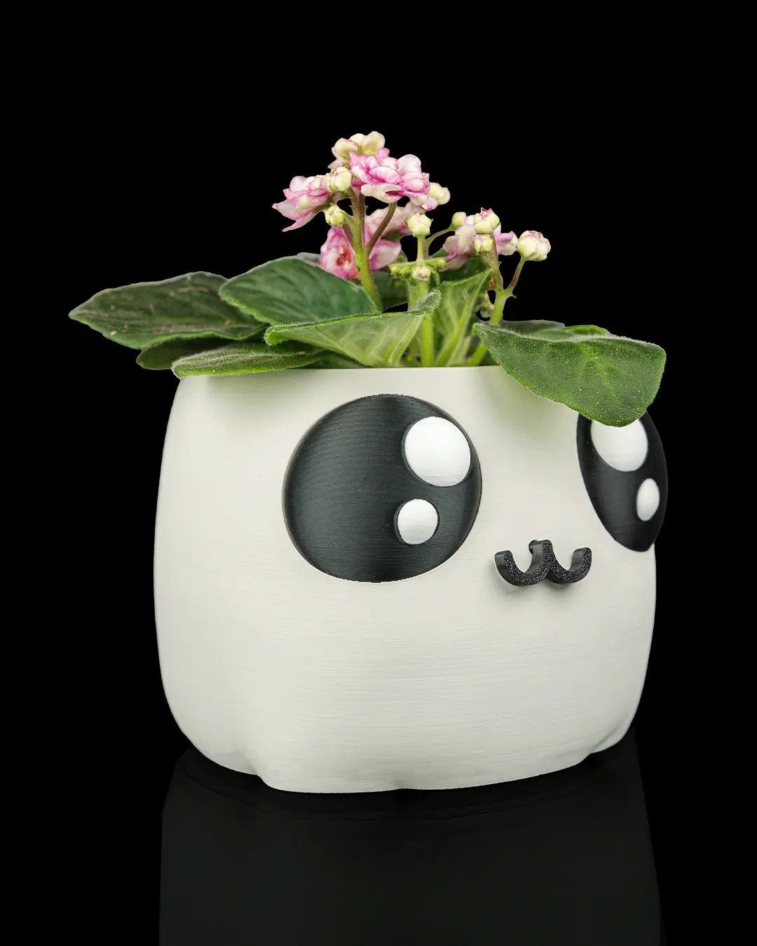 Cute Aesthetic PLA Plastic Self-Watering Planter with Interactive Mouth Water Indicator and Cotton Wick System in Black White Pink Green Beige 5.5x5.1x5.1in for Indoor Desktop Office Bedroom Window Sill Use
