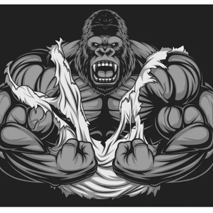 Silverbacks1289