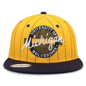 Michigan '90 Pin Snapback