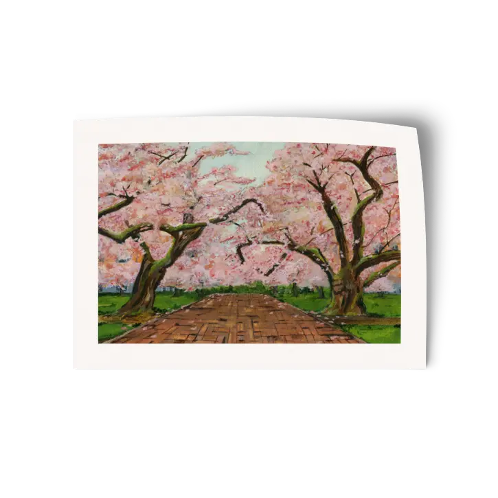 The Quad | Watercolor Vinyl Sticker