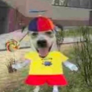 OverstockFinds OverstockFinds