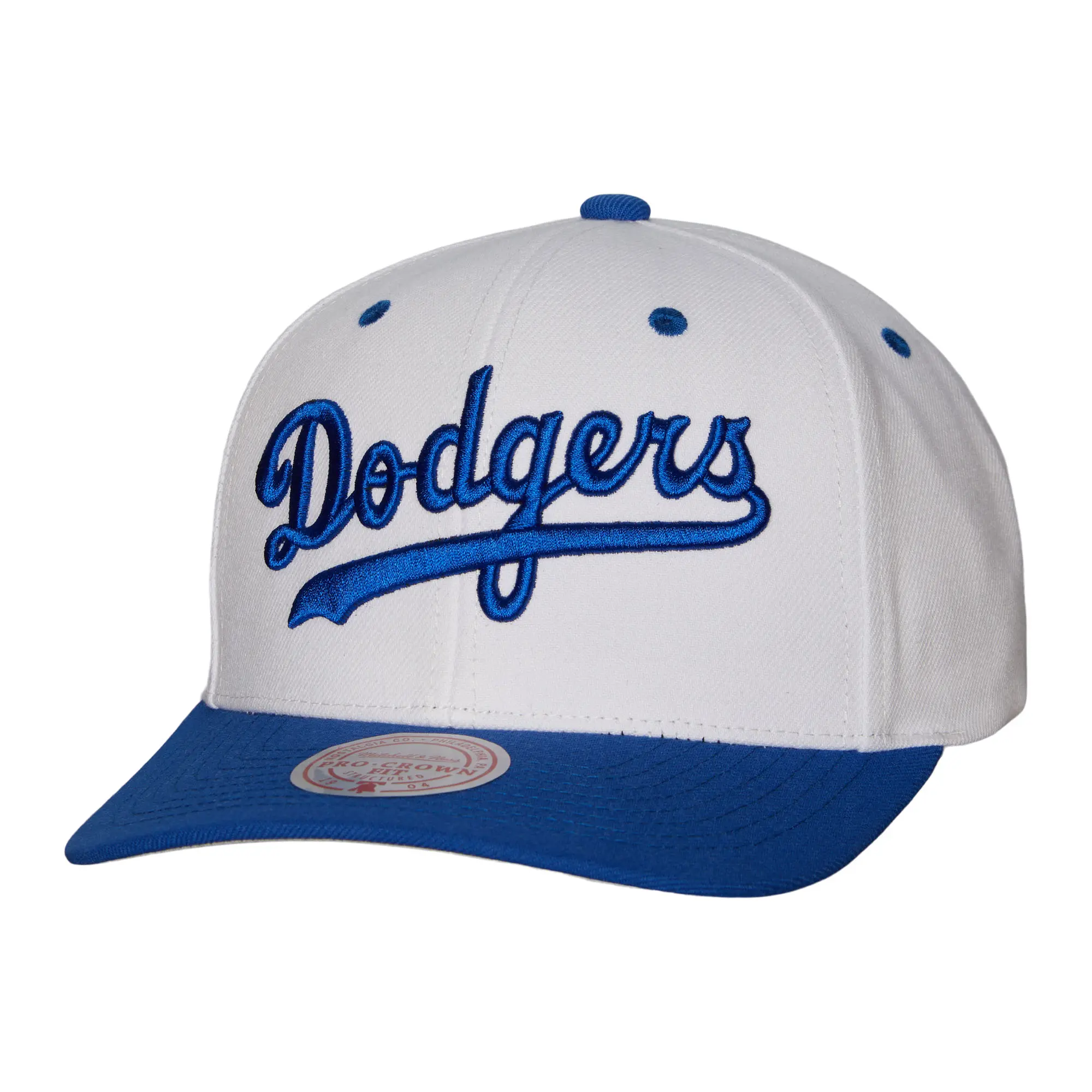Mitchell & Ness Evergreen Pro Snapback Hat