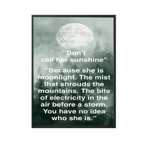 Quicksilver Book Quote, Booktok Art Print, Home Decor
