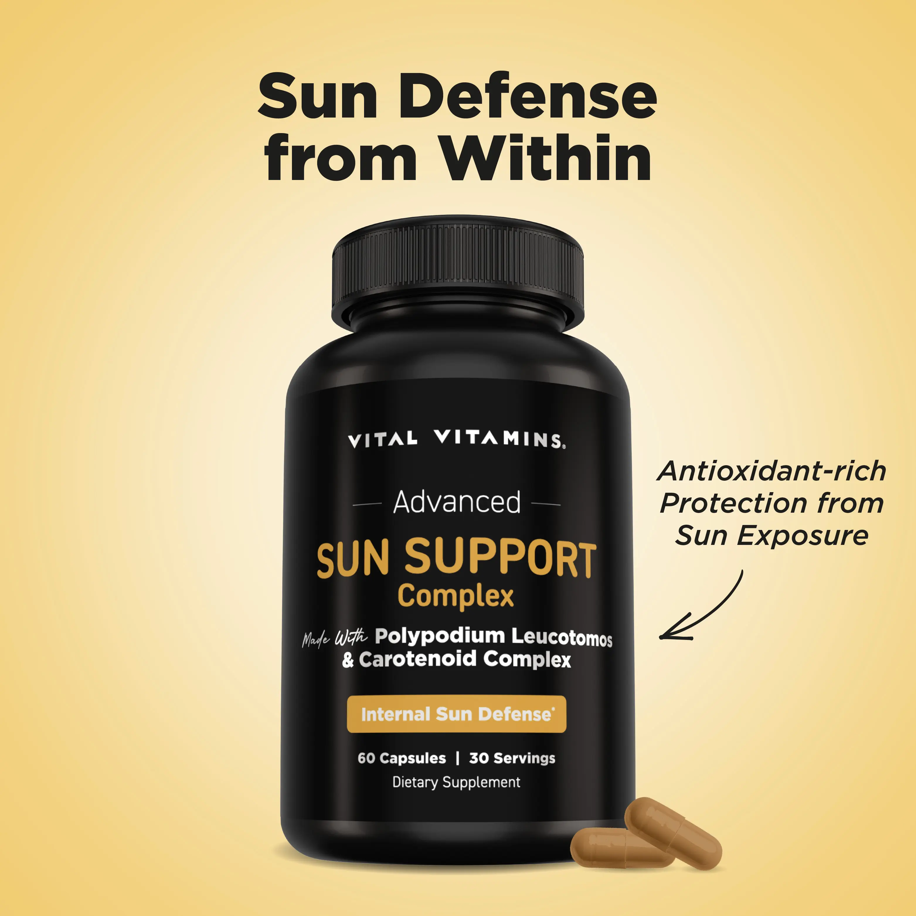 Sun Support Complex