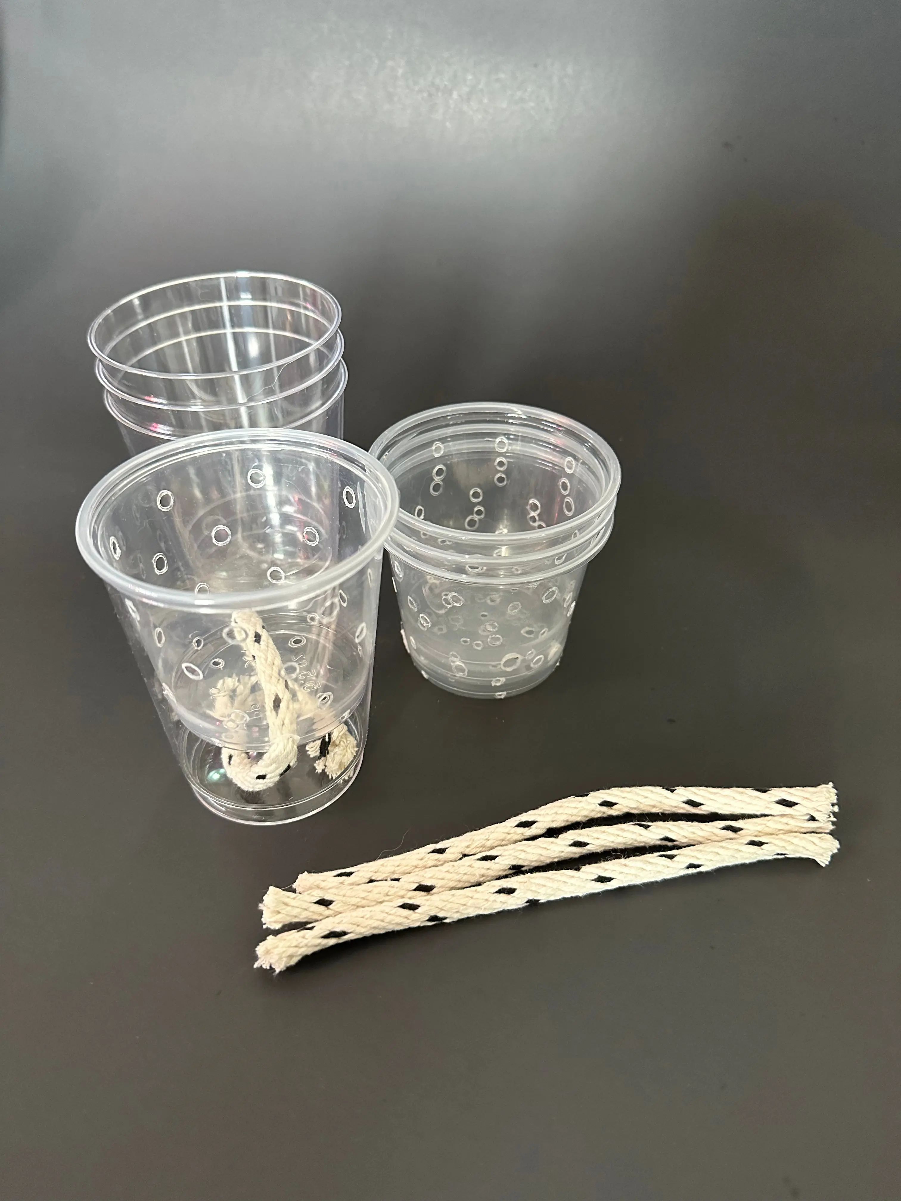 Mini Clear Self Watering Pots